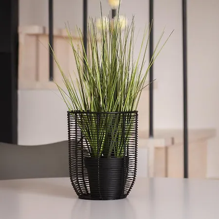 Leaves & Waves Apartament