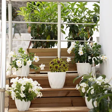 Leaves & Waves Apartament Stómion